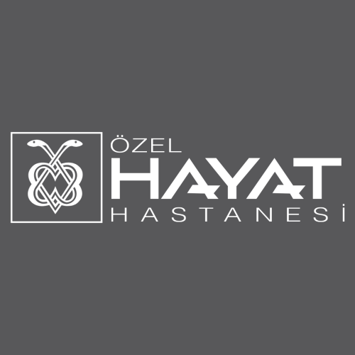 Organizasyon Yapısı